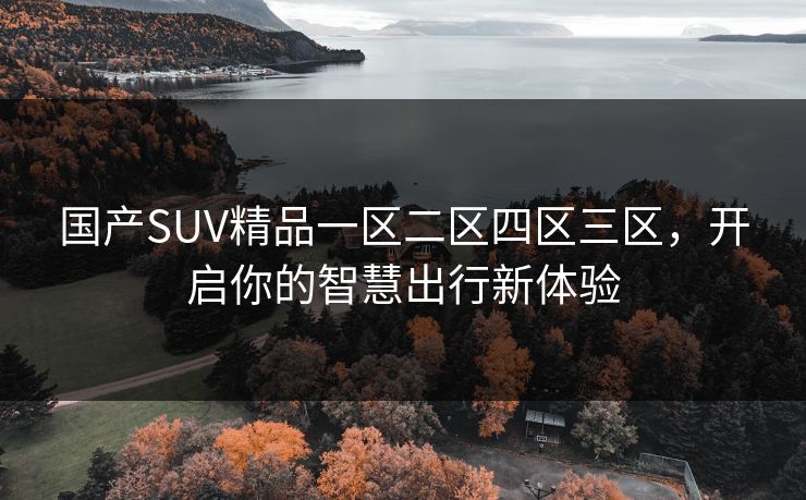 国产SUV精品一区二区四区三区，开启你的智慧出行新体验