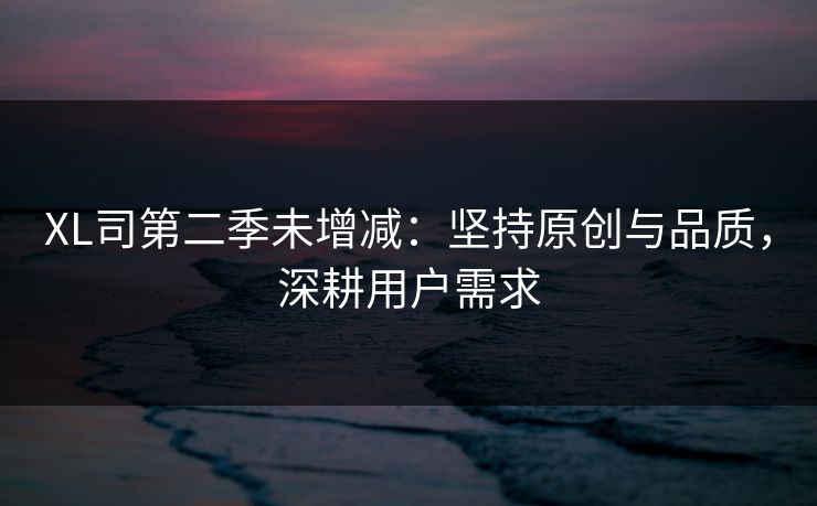 XL司第二季未增减：坚持原创与品质，深耕用户需求