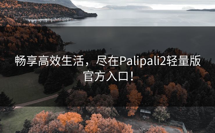 畅享高效生活，尽在Palipali2轻量版官方入口！
