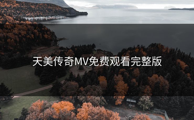 天美传奇MV免费观看完整版