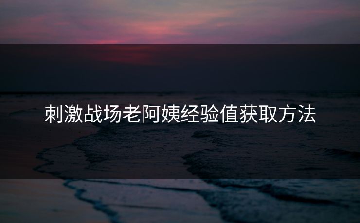 刺激战场老阿姨经验值获取方法 刺激战场老阿姨经验值获取方法