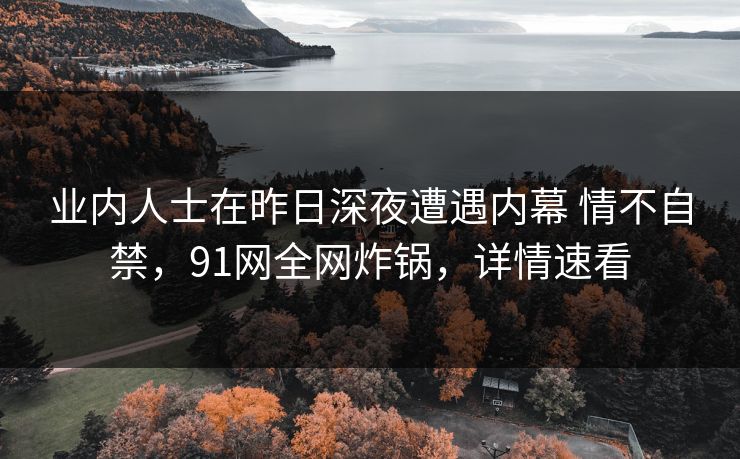 业内人士在昨日深夜遭遇内幕 情不自禁,91网全网炸锅,详情速看 业内人士在昨日深夜遭遇内幕 情不自禁,91网全网炸锅,详情速看